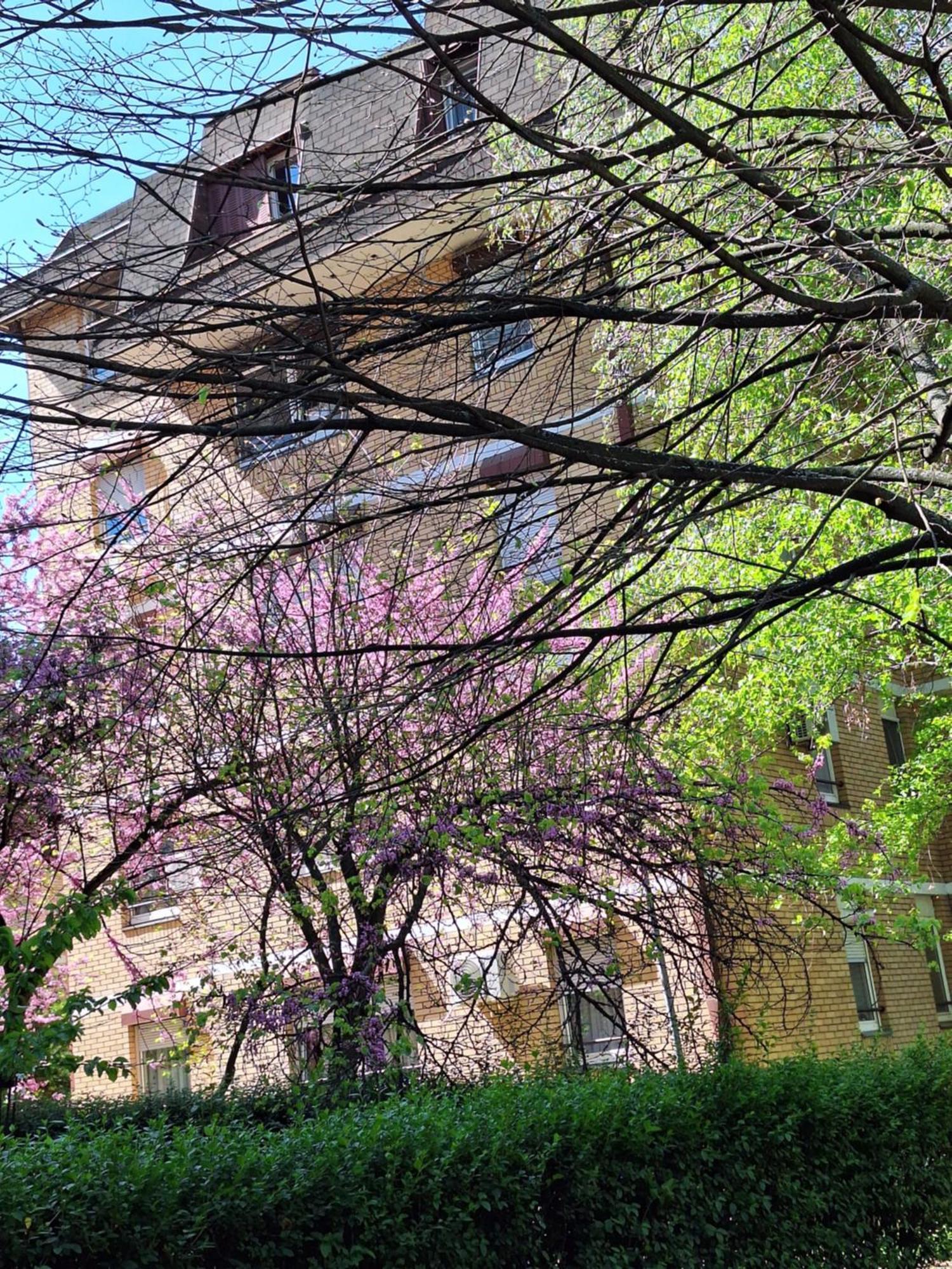 Rivijera Green Belgrade Exterior photo