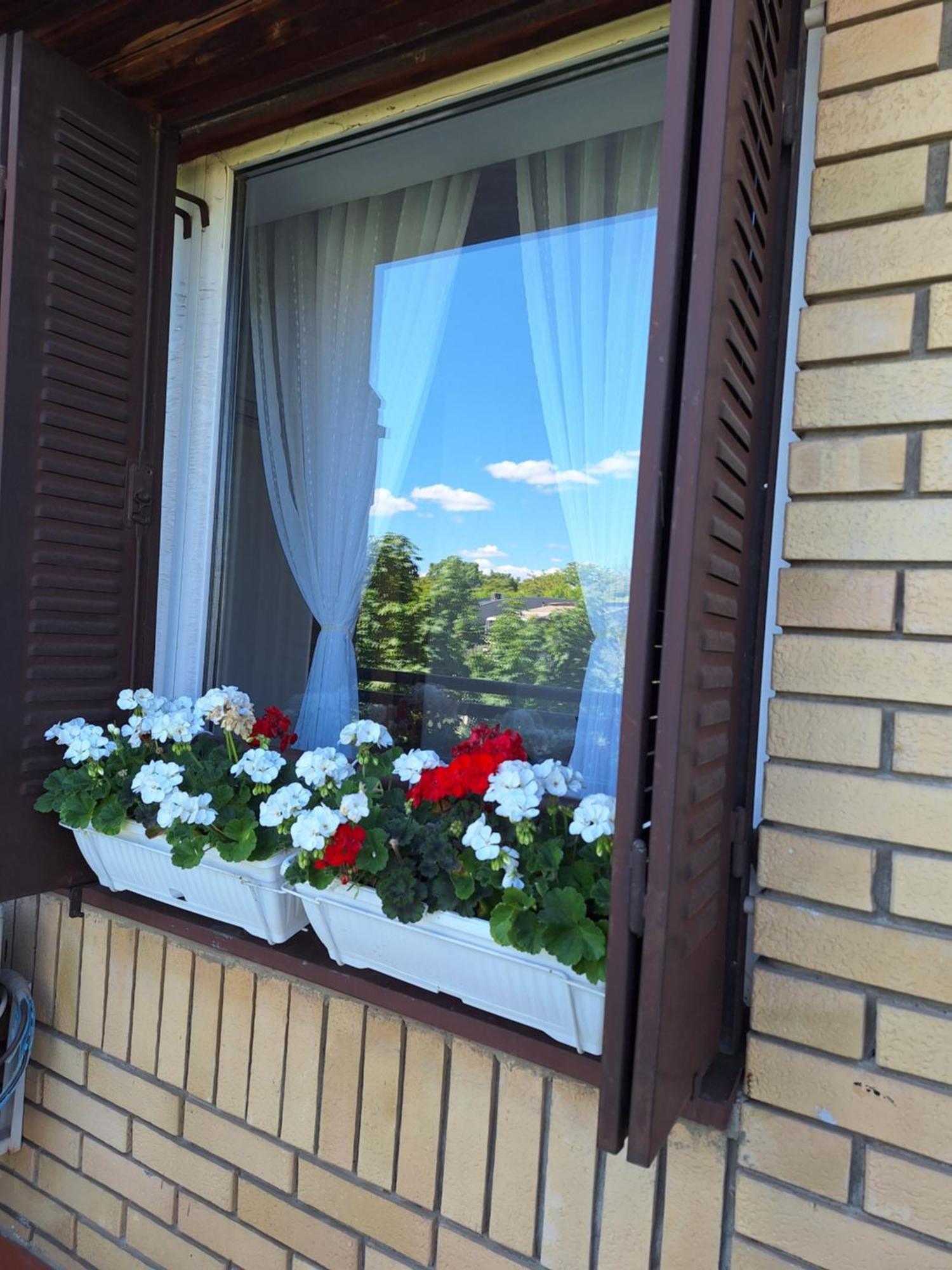 Rivijera Green Belgrade Exterior photo