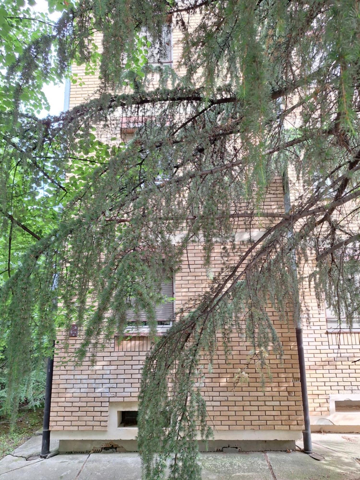 Rivijera Green Belgrade Exterior photo